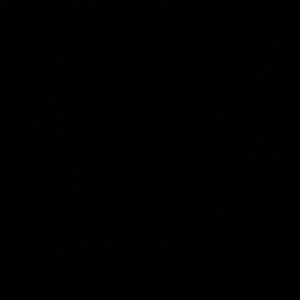 Meet your Posher, Jerry